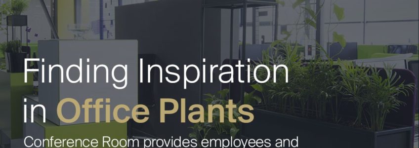 Plants in Office